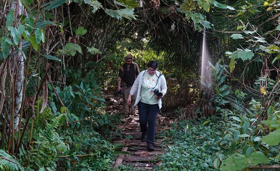 kibaleforest-fortportal-uganda-afrika-ostafrika-reiseberatung-reiseplanung-reiseexperte-afrikaspezialist-fine-travel-reisebuero-stgallen
