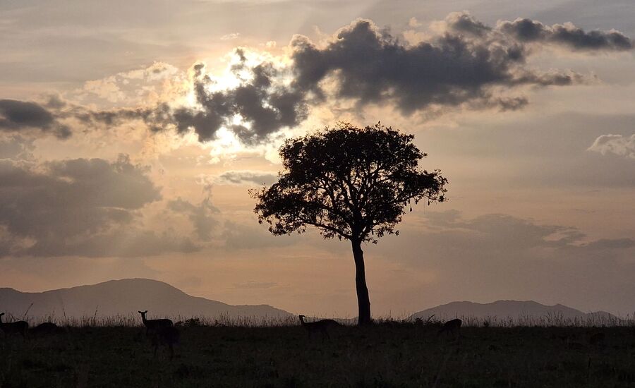 Kidepovalley-nationalpark-uganda-selfdrive-selbstfahrer-afrika-wasserfaelle-reisebuero-fine-travel-ostschweiz-reiseplanung-reiseexperte
