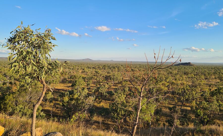 undara-australien-reisebericht-finetravel-reisebuero-stgallen-karin-schoen-australienferien-ozeanienspezialist