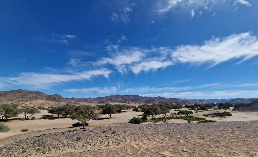 Hoanib-4x4-kakofeld-namibia-selbstfahrer-afrikaspezialist-ostschweiz-luxusreise-individuell-reiseplanung-reisebuero-stgallen