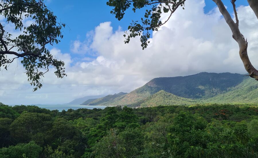 palm-cove-australien-reisebericht-finetravel-reisebuero-stgallen-karin-schoen-australienferien-ozeanienspezialist