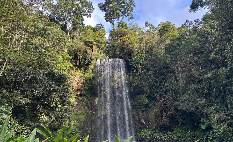 atherton-australien-reisebericht-finetravel-reisebuero-stgallen-karin-schoen-australienferien-ozeanienspezialist
