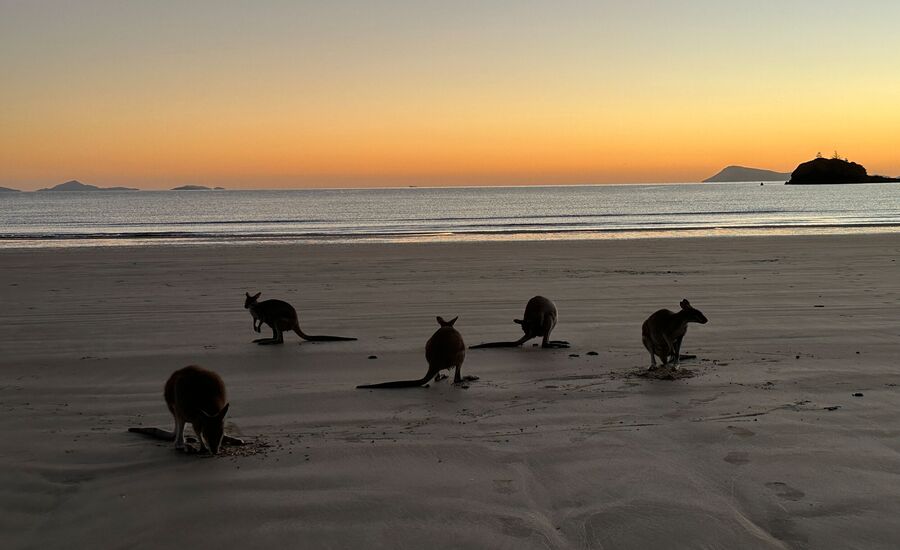cape-hillsborough-australien-reisebericht-finetravel-reisebuero-stgallen-karin-schoen-australienferien-ozeanienspezialist