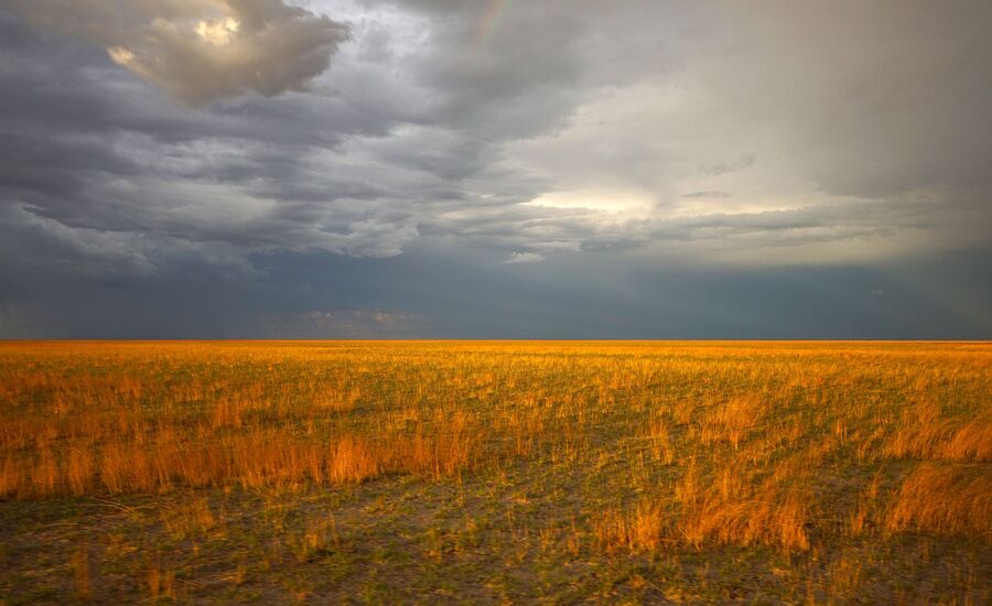 Zambia-liuwa-plains-maun-Botswana-4x4abenteuer-individuelle-ferienm-khaudum-nationalpark-namibia-bigfive-reisen-afrikaspezialist-fine-travel-stgallen-reiseberatung-ferien
