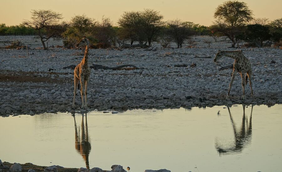 etosha-van-zyl's-pass-kaokofeld-reisen-afrikaspezialist-fine-travel-stgallen-reiseberatung-ferien-kunene-epupafalls