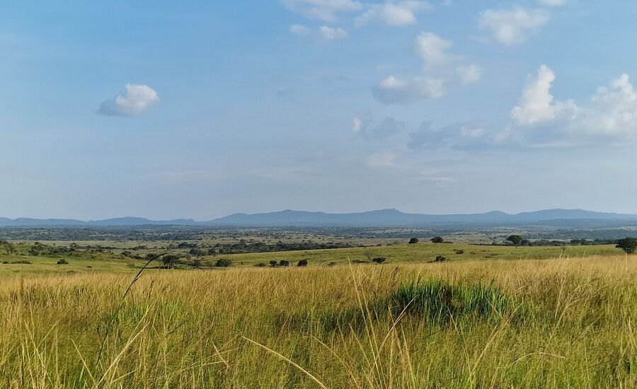 murchisonfalls-nationalpark-uganda-selfdrive-selbstfahrer-afrika-wasserfaelle-reisebuero-fine-travel-ostschweiz-reiseplanung-reiseexperte
