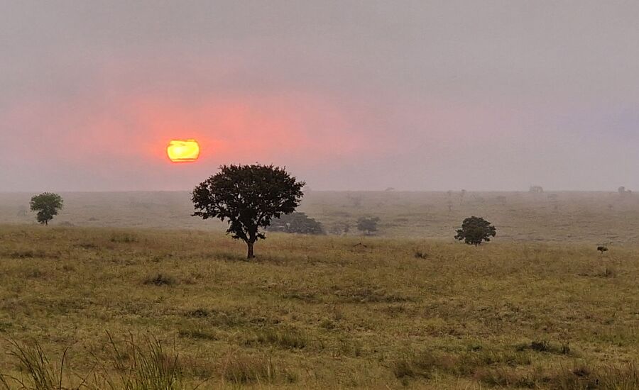 murchisonfalls-nationalpark-uganda-selfdrive-selbstfahrer-afrika-wasserfaelle-reisebuero-fine-travel-ostschweiz-reiseplanung-reiseexperte