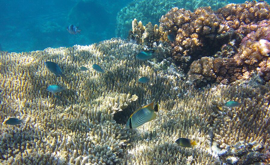 yasawa-fiji-suedsee-reisebericht-finetravel-reisebuero-stgallen-karin-schoen-fernreise-suedseespezialist