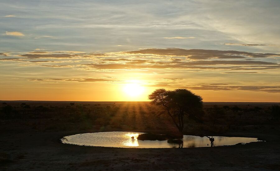 etosha-nationalpark-namibia-bigfive-reisen-afrikaspezialist-fine-travel-stgallen-reiseberatung-ferien