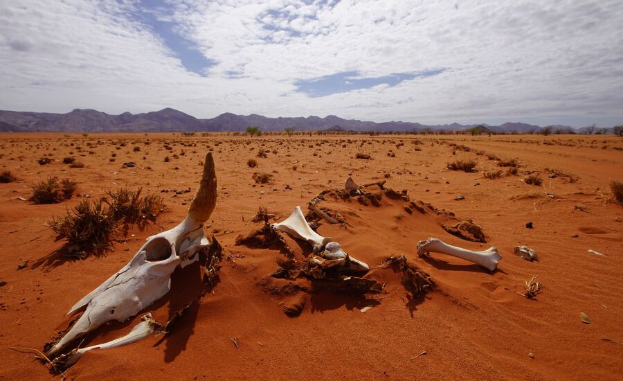 kaokofeld-4x4selbstfahrer-namibia-selbstfahrer-afrikaspezialist-ostschweiz-luxusreise-individuell-reiseplanung-reisebuero-stgallen