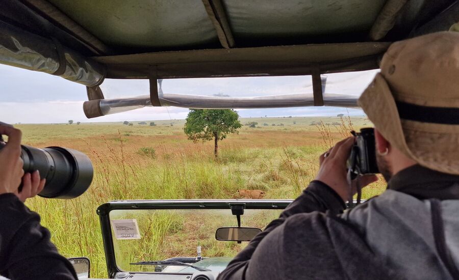 murchisonfalls-nationalpark-uganda-selfdrive-selbstfahrer-afrika-wasserfaelle-reisebuero-fine-travel-ostschweiz-reiseplanung-reiseexperte