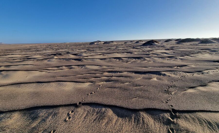 skeletoncoast-namibia-selbstfahrer-afrikaspezialist-ostschweiz-luxusreise-individuell-reiseplanung-reisebuero-stgallen