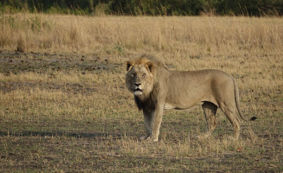 khaudum-maun-Botswana-4x4abenteuer-individuelle-ferienm-khaudum-nationalpark-namibia-bigfive-reisen-afrikaspezialist-fine-travel-stgallen-reiseberatung-ferien