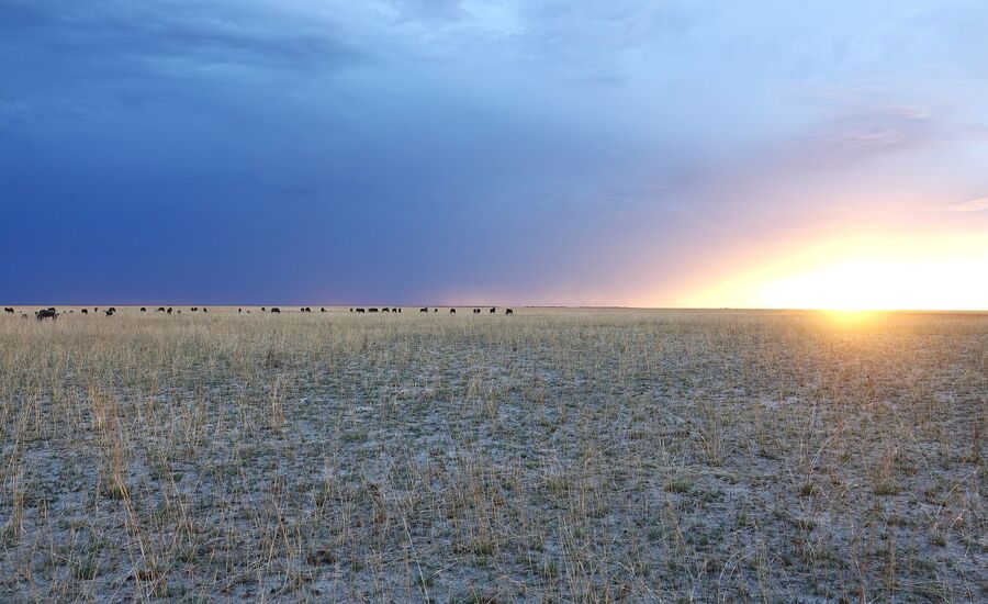 Zambia-liuwa-plains-maun-Botswana-4x4abenteuer-individuelle-ferienm-khaudum-nationalpark-namibia-bigfive-reisen-afrikaspezialist-fine-travel-stgallen-reiseberatung-ferien