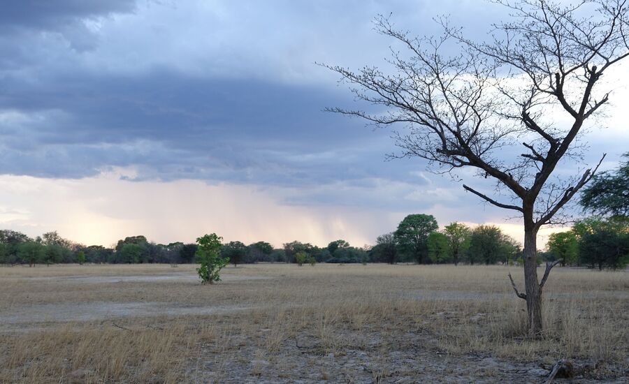 Zambia-siomanationalpark-maun-Botswana-4x4abenteuer-individuelle-ferienm-khaudum-nationalpark-namibia-bigfive-reisen-afrikaspezialist-fine-travel-stgallen-reiseberatung-ferien