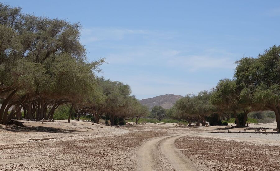 Hoanib-4x4-kakofeld-namibia-selbstfahrer-afrikaspezialist-ostschweiz-luxusreise-individuell-reiseplanung-reisebuero-stgallen