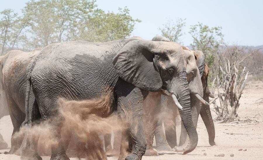 onduli-luxusreisen-namibia-bigfive-reisen-afrikaspezialist-fine-travel-stgallen-reiseberatung-ferien