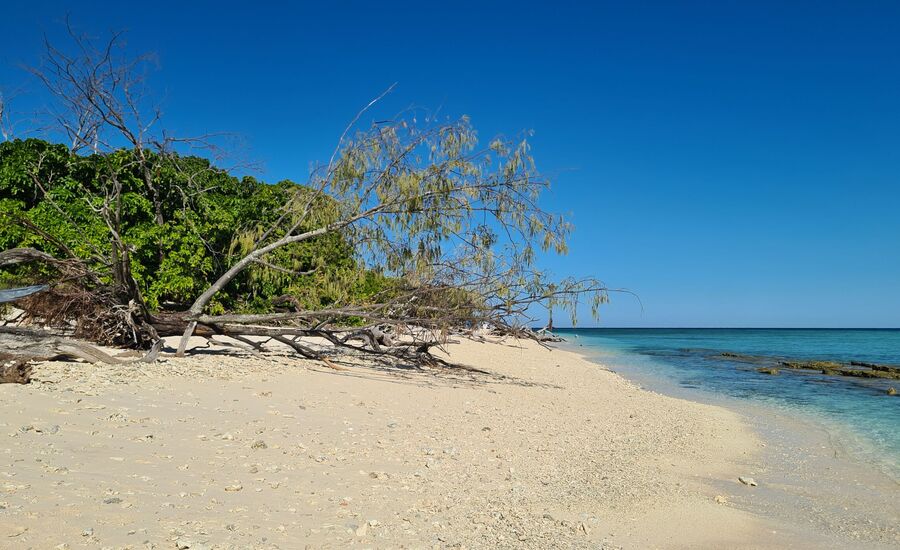 lady-musgrave-island-australien-reisebericht-finetravel-reisebuero-stgallen-karin-schoen-australienferien-ozeanienspezialist